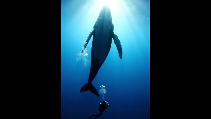 仙剑奇侠传3高清 - 深蓝星球：探索海洋深处的未知世界